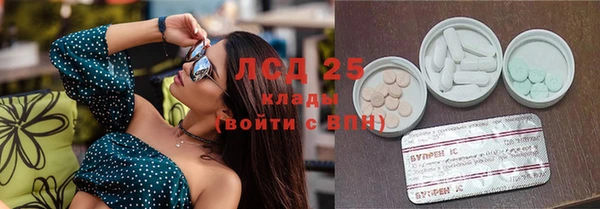 хмурый Нефтекумск