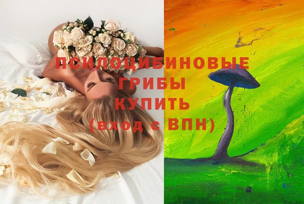 ПСИЛОЦИБИНОВЫЕ ГРИБЫ Архангельск
